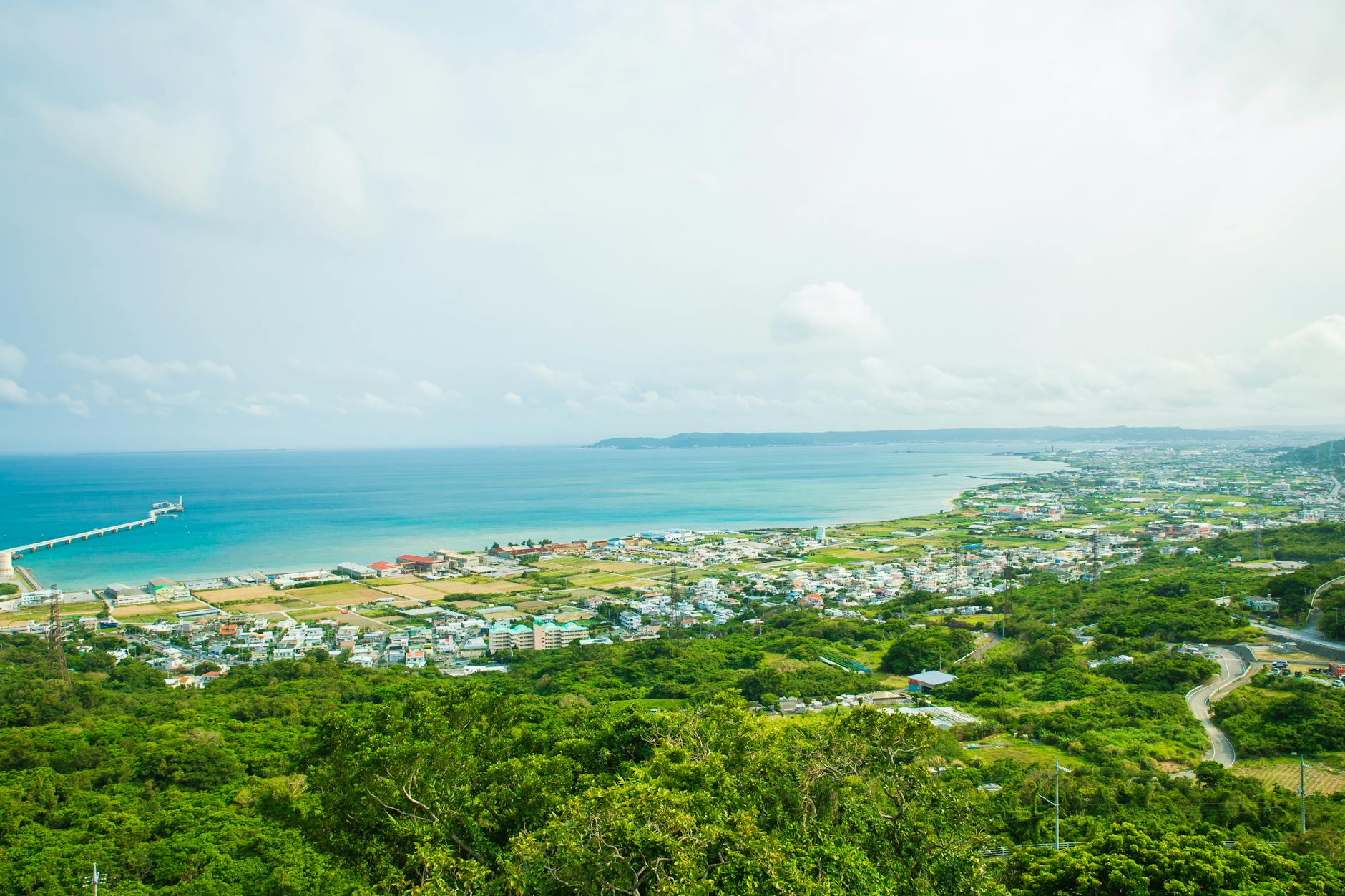 coastal town with green plants against blue sea